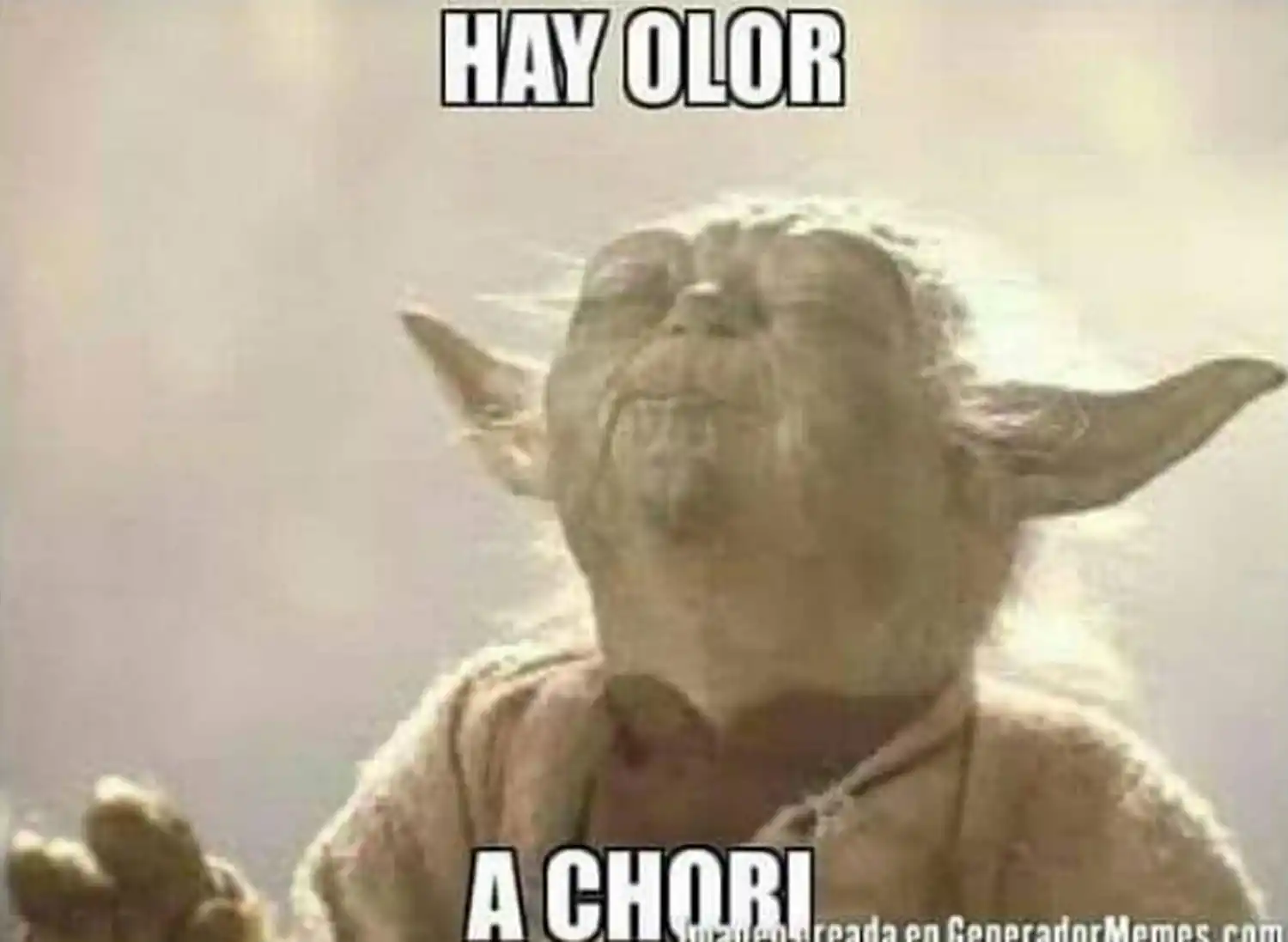 Con los primeros resultados oficiales, los memes coparon las redes sociales