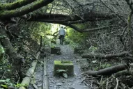 Sínodo de la Amazonia: ¿porqué la iglesia habla de la crisis climática?