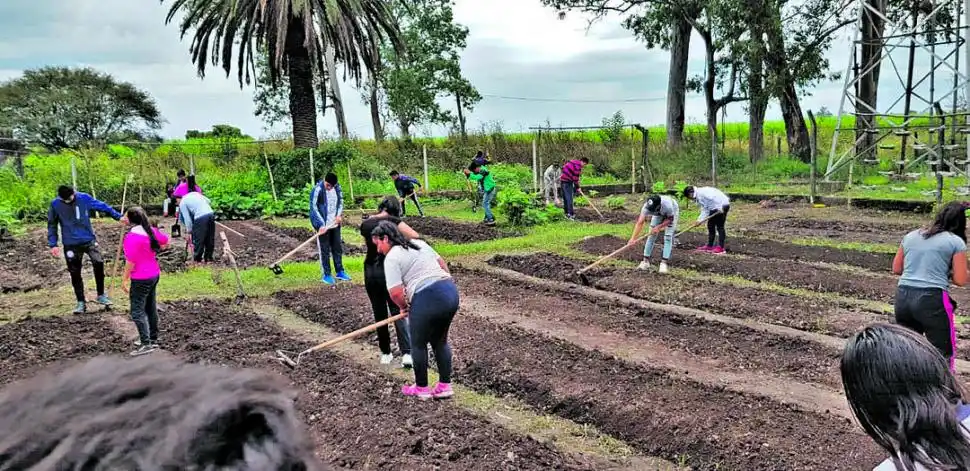 Escuelas solidarias: aprender ayudando a los demás