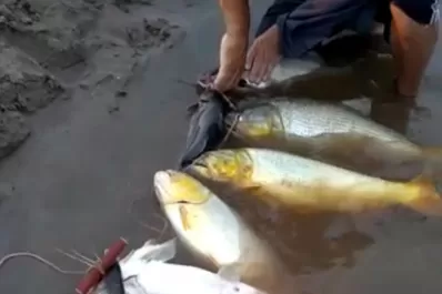 Con dos videos se denunció un brutal ataque a los recursos naturales