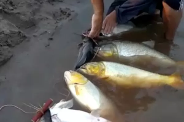 Con dos videos se denunció un brutal ataque a los recursos naturales