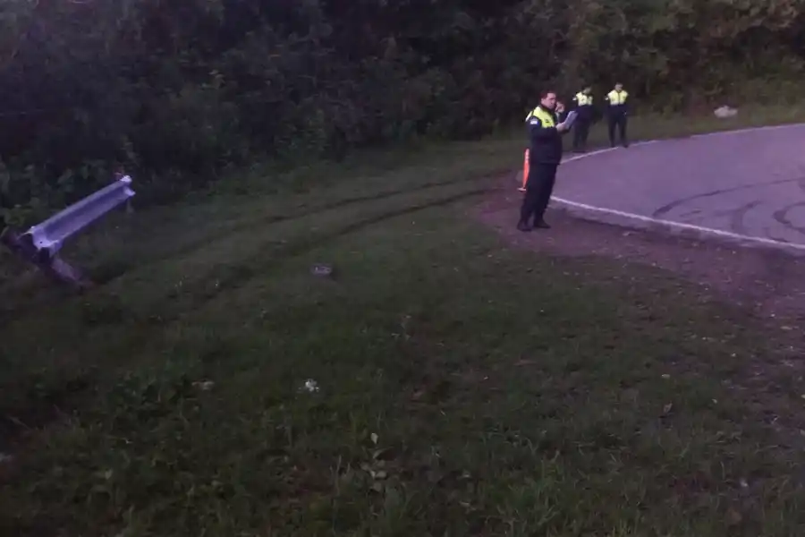 RUTA 338. Perdieron el control del vehículo en una curva cerrada.