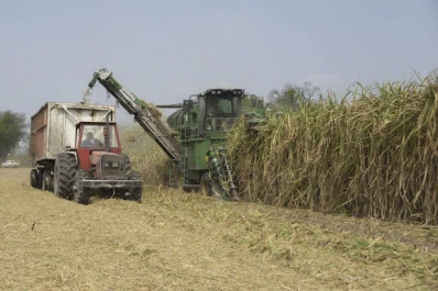 Informe satelital: se cosechó ya el 85% de la caña plantada
