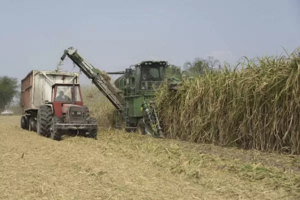 Informe satelital: se cosechó ya el 85% de la caña plantada