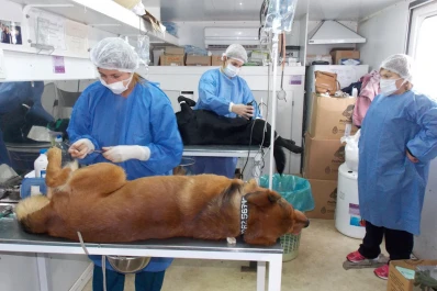 Hospital veterinario: atienden a bajo costo en la finca El Manantial