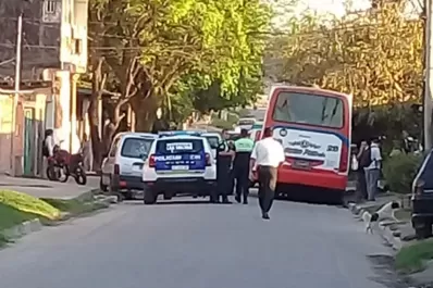 Paró el colectivo, se bajó y murió cuando se le vino encima mientras intentaba frenarlo