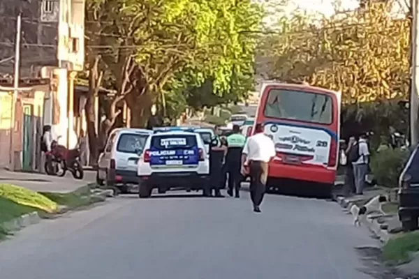 Paró el colectivo, se bajó y murió cuando se le vino encima mientras intentaba frenarlo