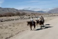 ¿Querés veranear en Tafí del Valle? Mirá cuánto cuesta alquilar