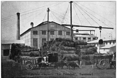 Los Nadra y el cierre de ingenios en Tucumán