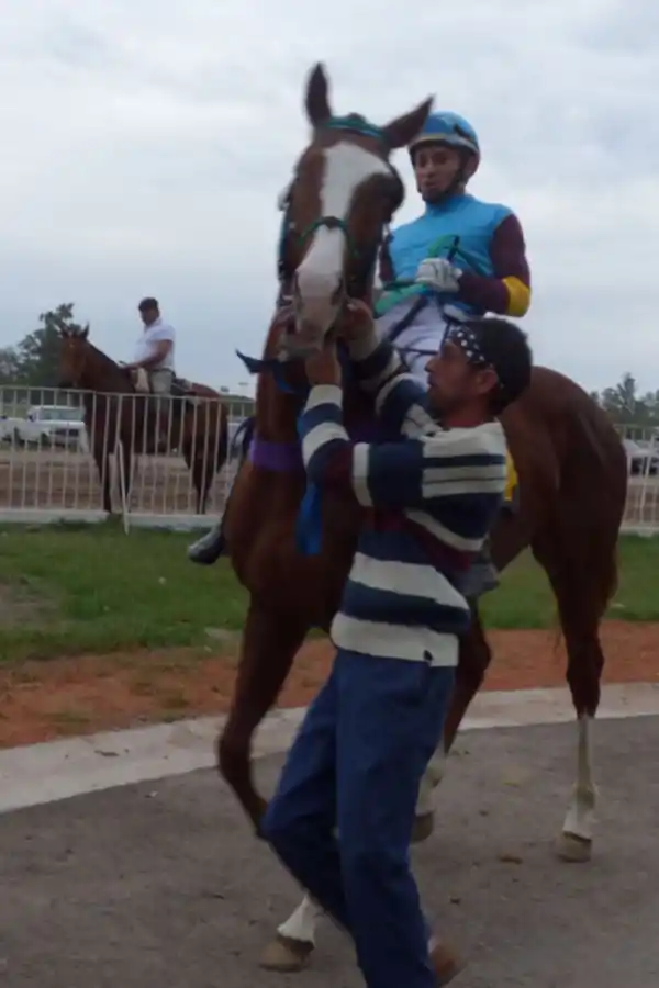 Turf: ER Bizcocho fue pura potencia