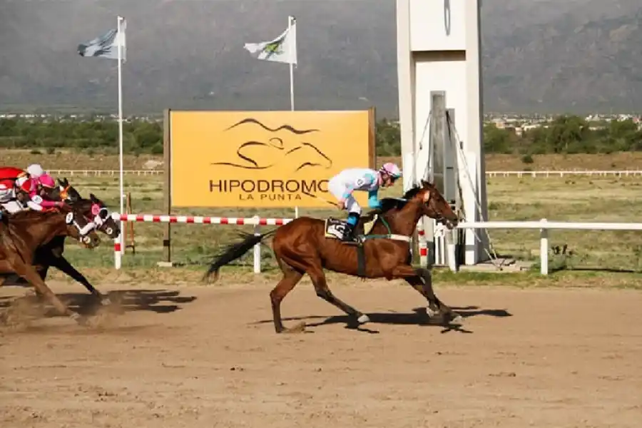 Turf: ER Bizcocho fue pura potencia