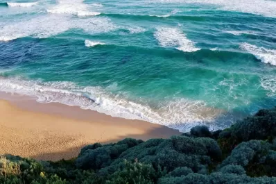 Cambio climático: ¿por qué los mares guardan carbono?
