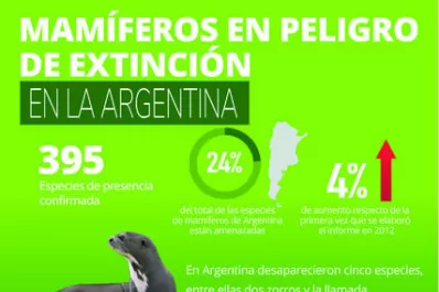 Entre las especies más vulnerables se encuentran el yaguareté y el carayá rojo, un mono aullador que habita en el noreste del país