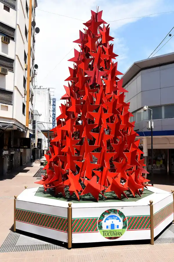 Se termina el año y el árbol de Navidad ya deslumbra en la peatonal