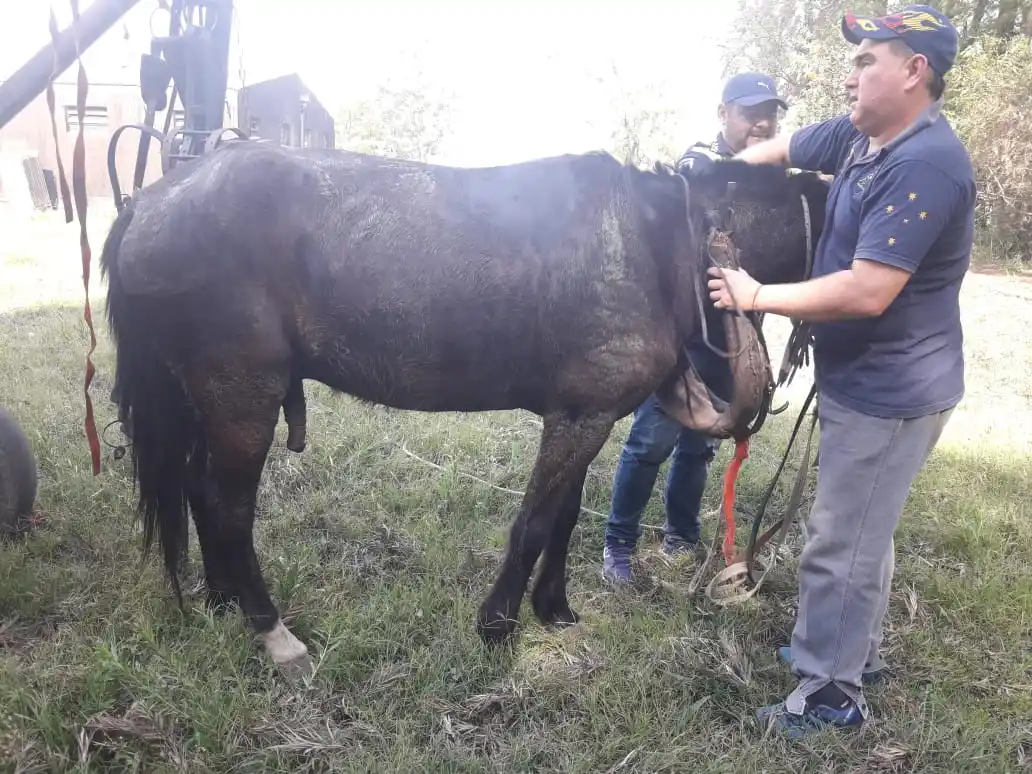 Golpe en Tucumán contra la pesca ilegal y la caza furtiva