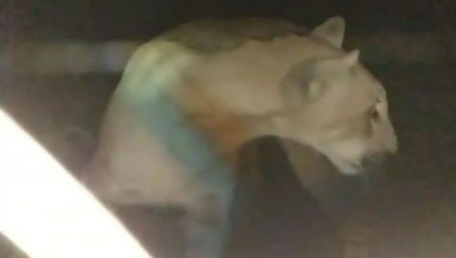 FOTO TOMADA DE FACEBOOK / FARA