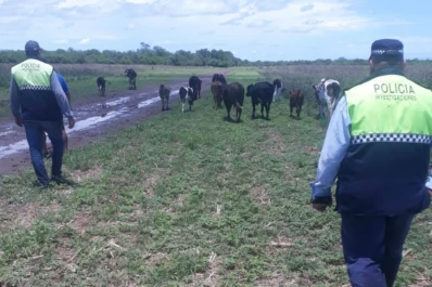 Golpe en Tucumán contra la pesca ilegal y la caza furtiva