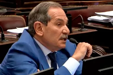 Cómo se armó la carta pública de la sobrina de Alperovich