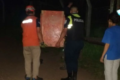 Pánico en una casa de Tafí Viejo: sintieron ruido y había un puma en una habitación