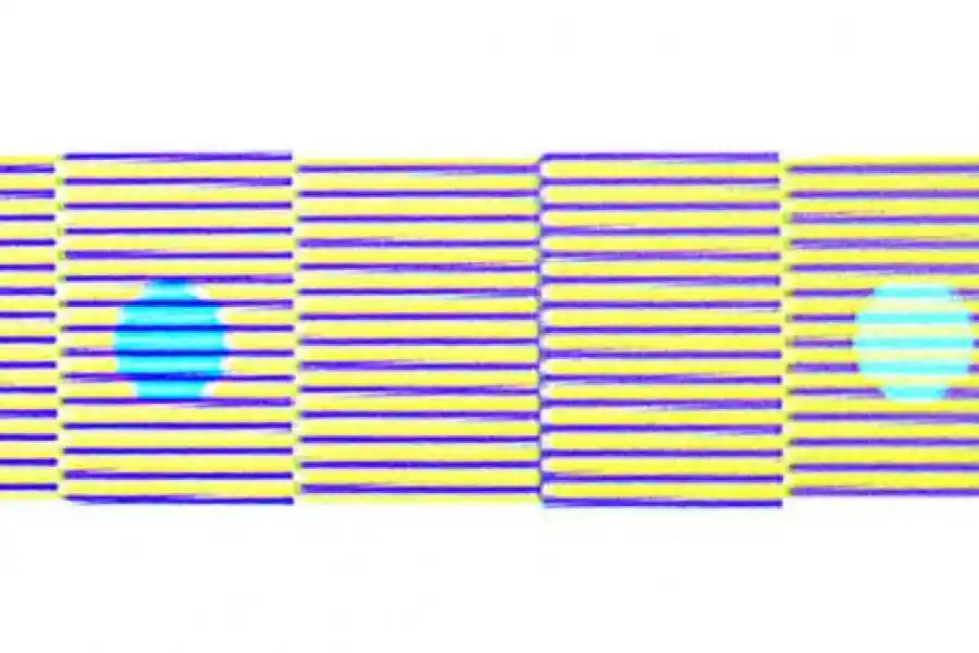  CONTEXTO. Los círculos son del mismo color. Pero la influencia de las líneas que los atraviesan (en un caso moradas, en el otro, amarillas) hace que veamos tres variantes. 