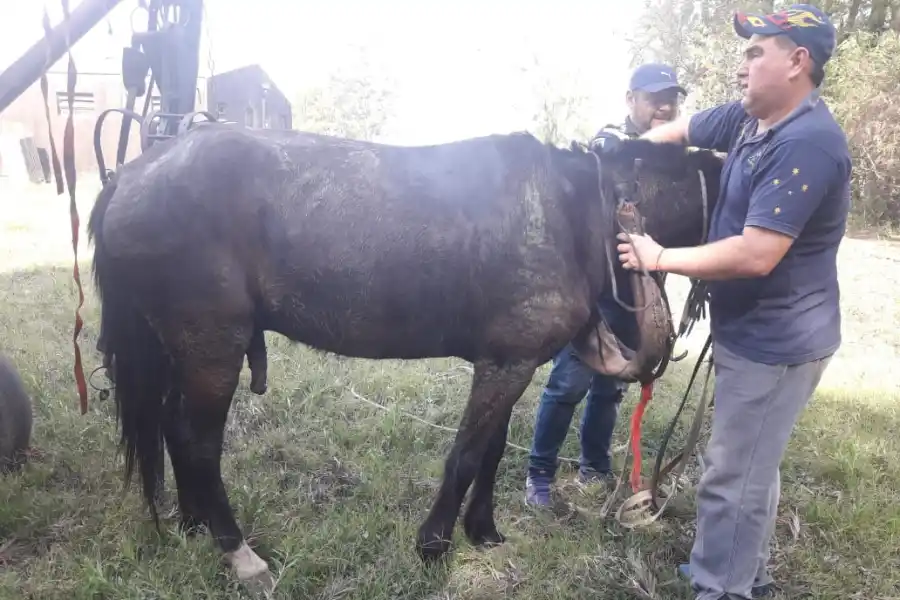 Golpe en Tucumán contra la pesca ilegal y la caza furtiva