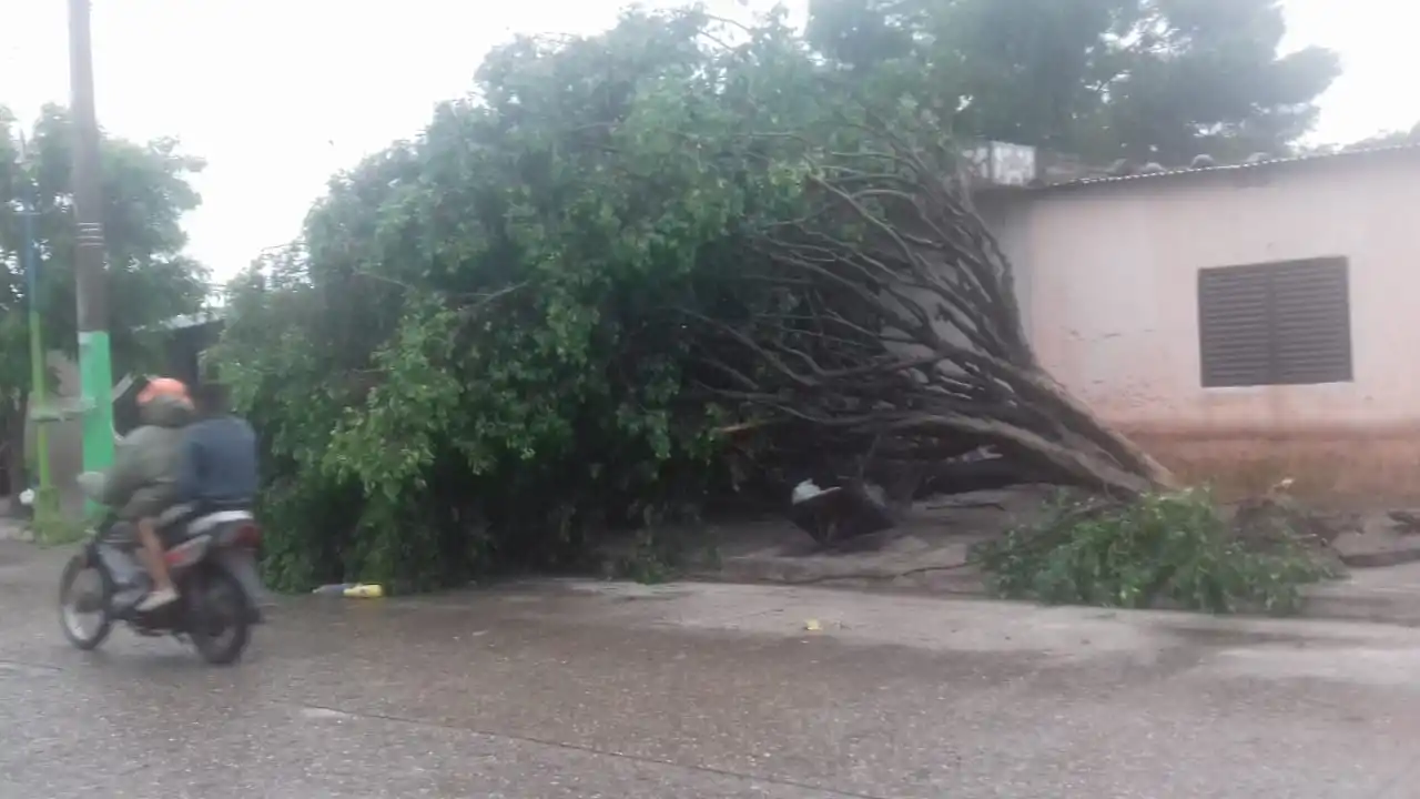 Imágenes: una combinación de lluvia, rayos y vientos generó temor en los tucumanos
