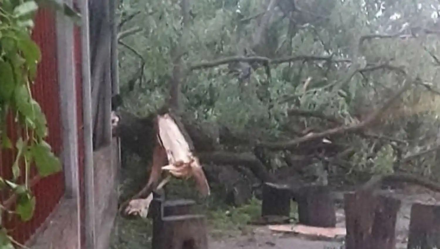 Imágenes: una combinación de lluvia, rayos y vientos generó temor en los tucumanos