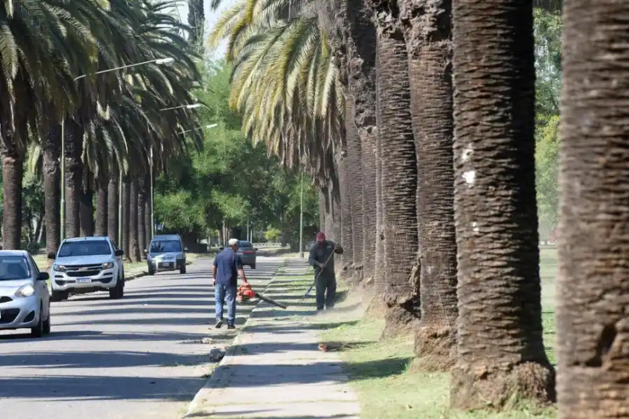 TRABAJO COMPLETO. Municipales también cortaron el césped. 