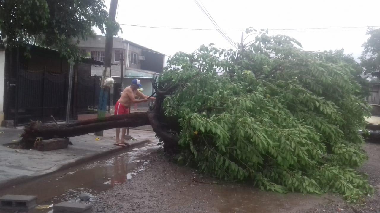 Imágenes: una combinación de lluvia, rayos y vientos generó temor en los tucumanos