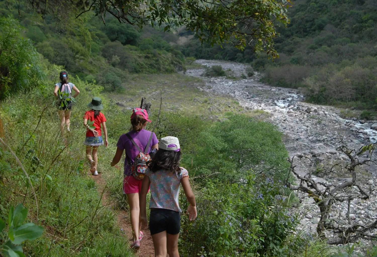 Portal de Las Yungas: día de trekking en Tafí Viejo