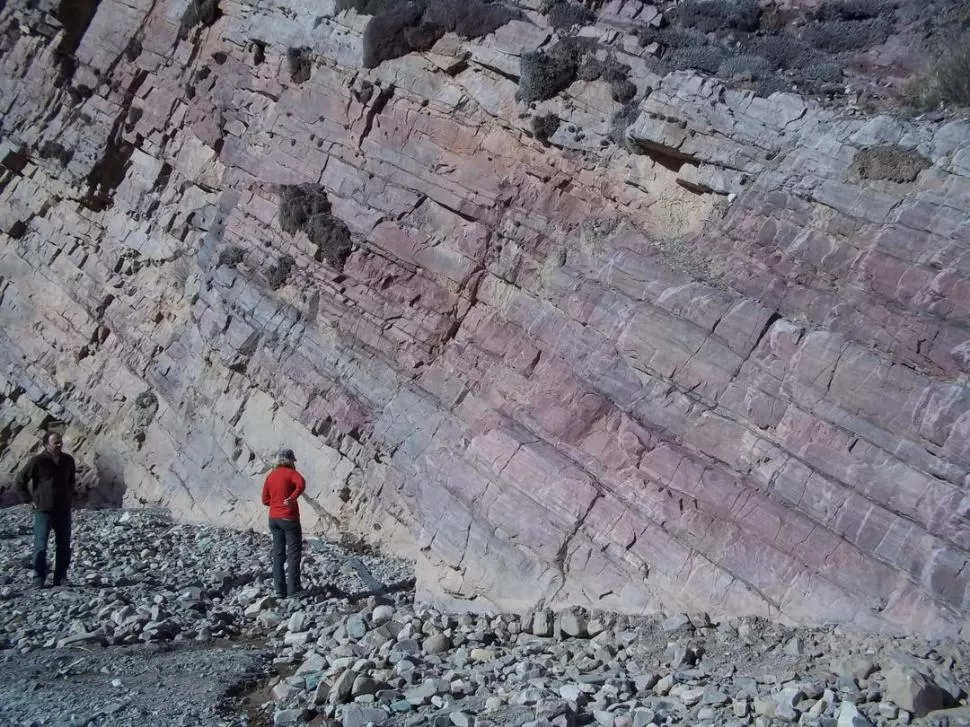 EN EL NORTE ARGENTINO. Las rocas que aparecen en la foto representan un fondo marino de hace 400 millones de años. 