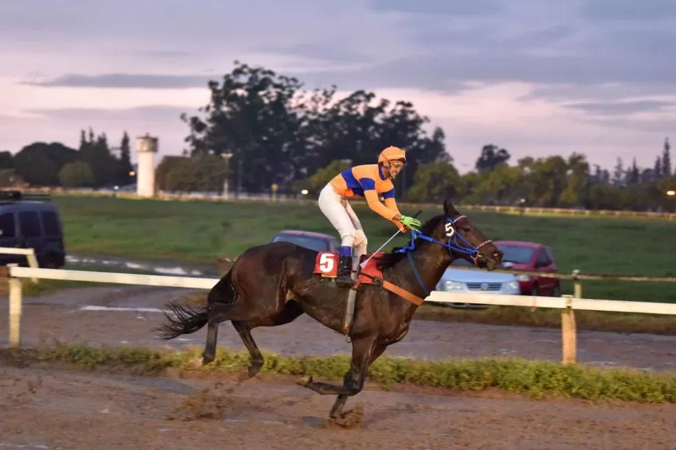 JINETE. Facundo Morán montará a Cacique Guaraní en el “Jockey Club”. LA GACETA / FOTO DE Ines Quinteros Orio (ARCHIVO)