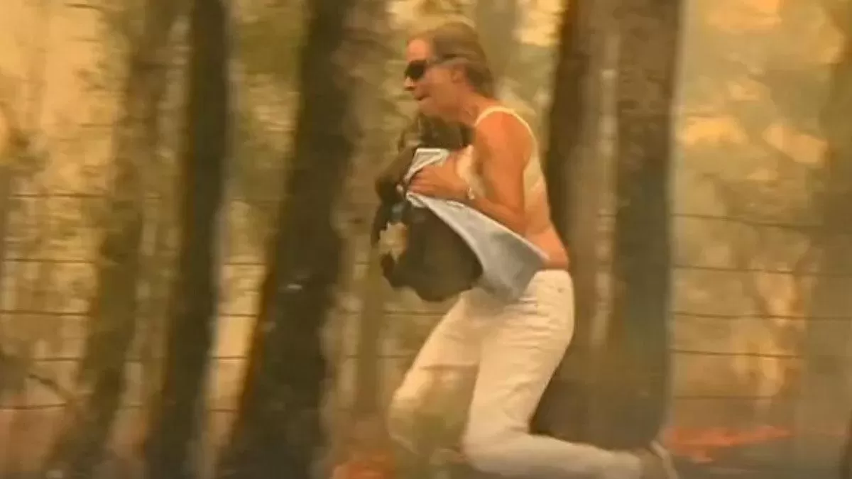 PUSO EN JUEGO SU VIDA. La mujer se sacó la remera para poder cubrir al koala de las llamas.