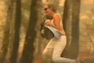 Murió el koala que había sido rescatado por una mujer en un incendio de Australia