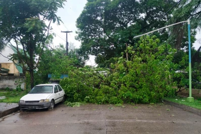 Un árbol cayó y aplastó una camioneta en San Martín al 4.500