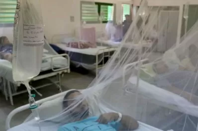 Paraguay, en alerta por dengue