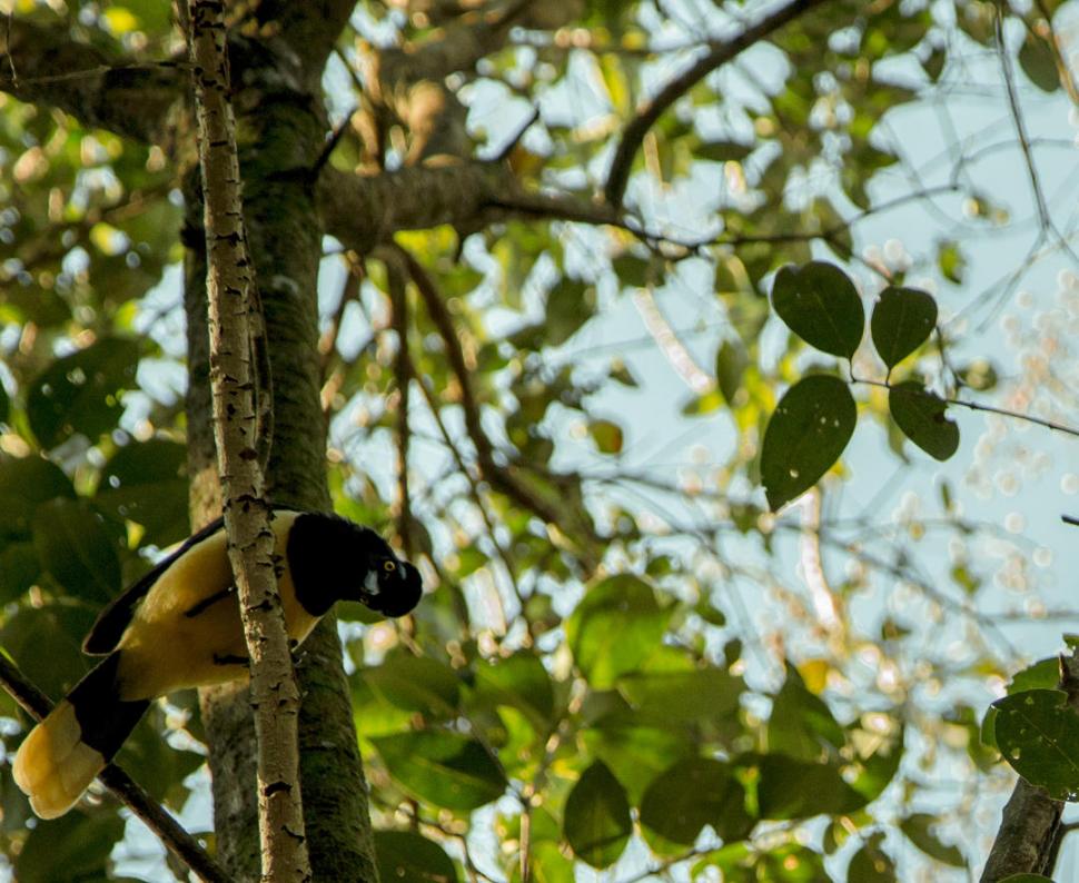 El Palmar: donde flora, fauna, playa e historia conviven