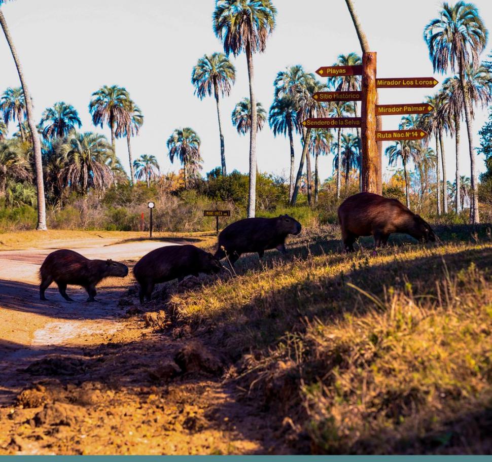 El Palmar: donde flora, fauna, playa e historia conviven