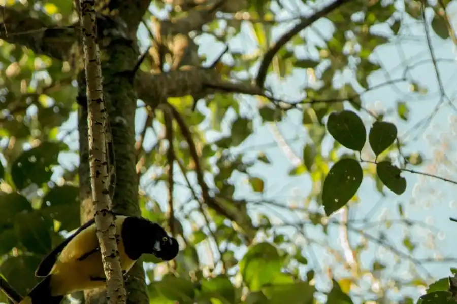 El Palmar: donde flora, fauna, playa e historia conviven