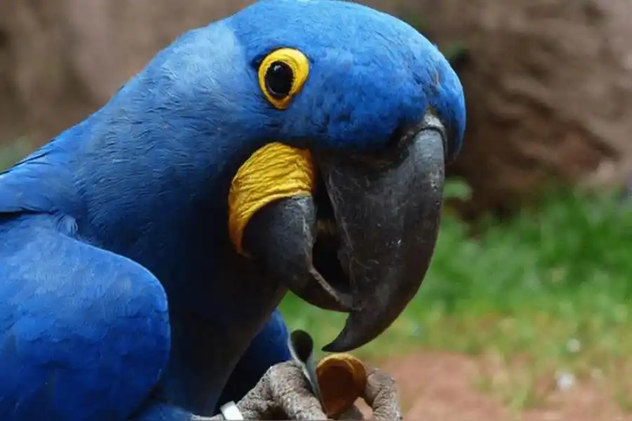 El Palmar: donde flora, fauna, playa e historia conviven