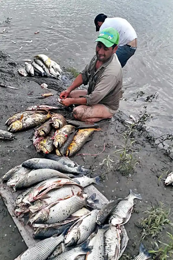 Tragedia por un bache en la autopista