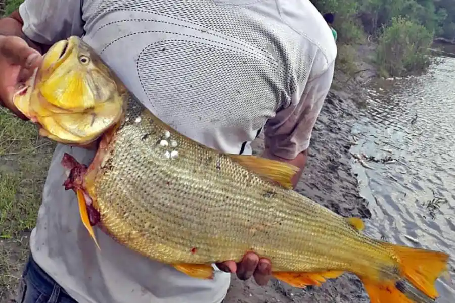 Tragedia por un bache en la autopista