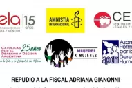 Aborto no punible: repudian a la fiscal Giannoni por investigar a agentes sanitarios