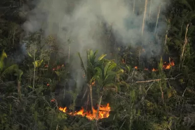 Bolsonaro, acusado por “incitación al genocidio”