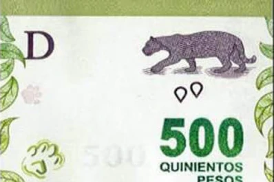 El yaguareté sufre su “retracción más extrema” y sólo quedan 250 ejemplares en la Argentina