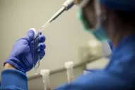 Así es el procedimiento médico para lograr un embarazo con donantes anónimos 