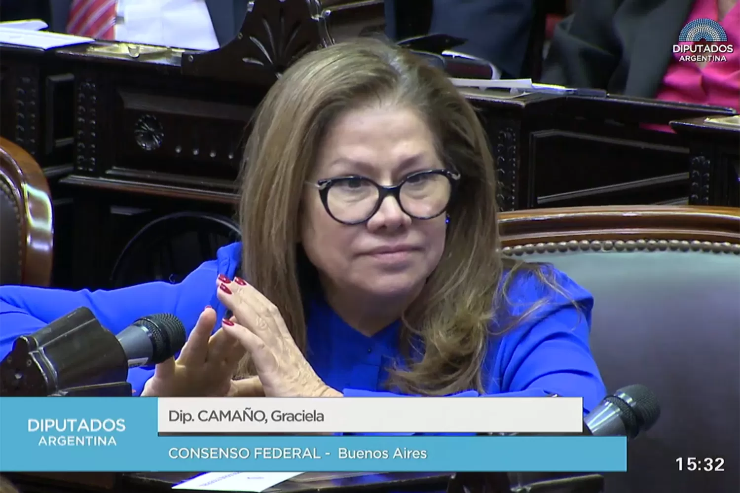 Graciela Camaño habló del techo de cristal en la sesión preparatoria de Diputados.