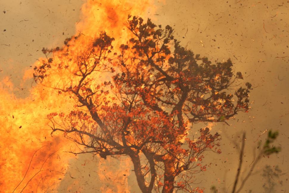POR ARRIBA. Árboles arden en la tierra indígena de la selva amazónica.