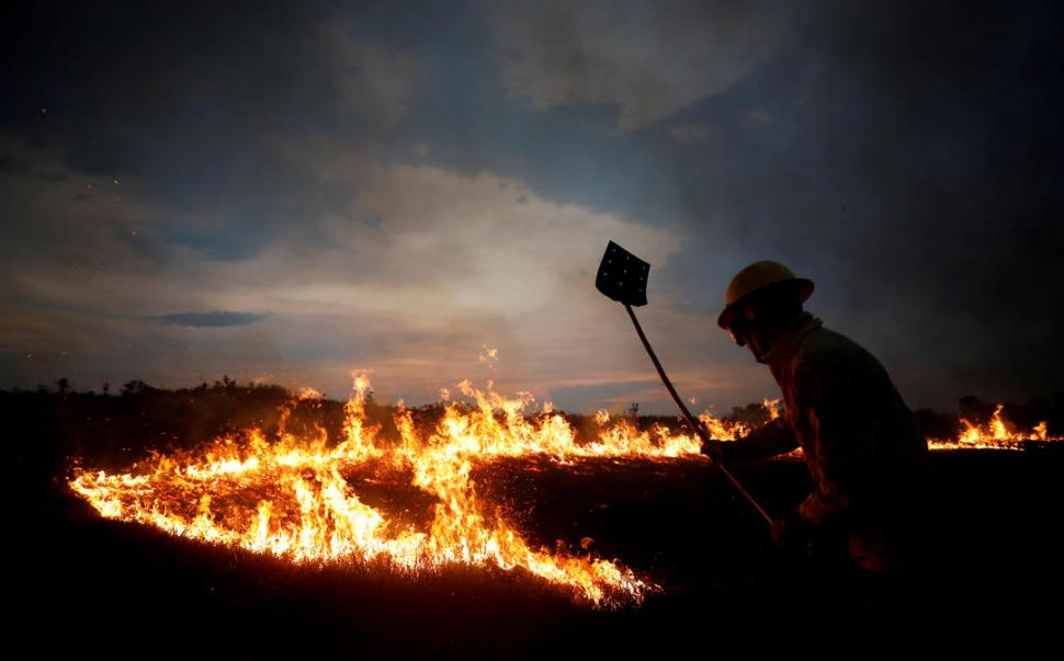 POR ABAJO. Las llamas se atacan a palos en Tenharim Marmelos.