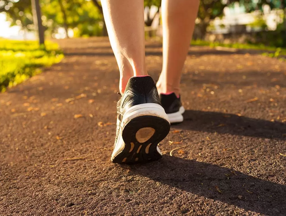 SENCILLO Y BARATO. La caminata regular ayuda a reducir el riesgo de enfermedades cardíacas, entre otras. 